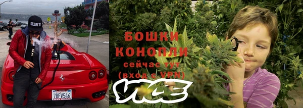 метадон Белокуриха