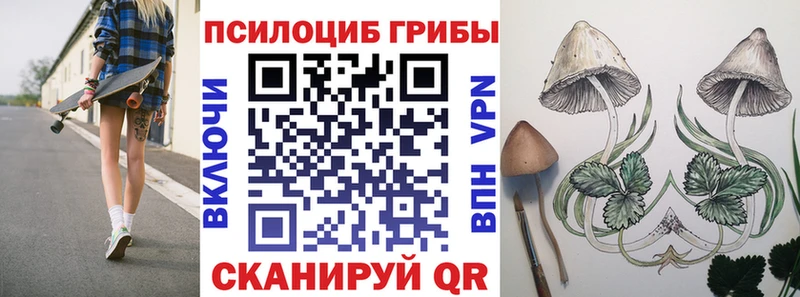 Галлюциногенные грибы мицелий  Рудня 